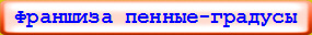 Франшиза пенные-градусы